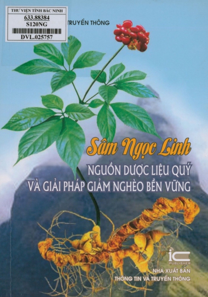 Sâm Ngọc Linh - Nguồn dược liệu quý và giải pháp giảm nghèo bền vững