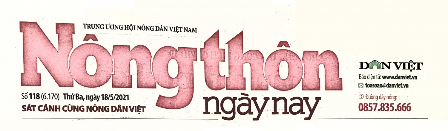 Hơn 1.600 cán bộ, hội viên tham gia ứng cử